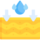 Prevent Moisture Damage